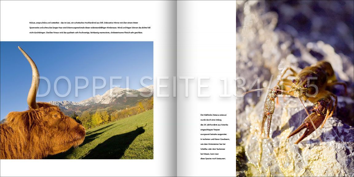 buch-bildband-wilder-kaiser-doppelseite-seiten-134-135